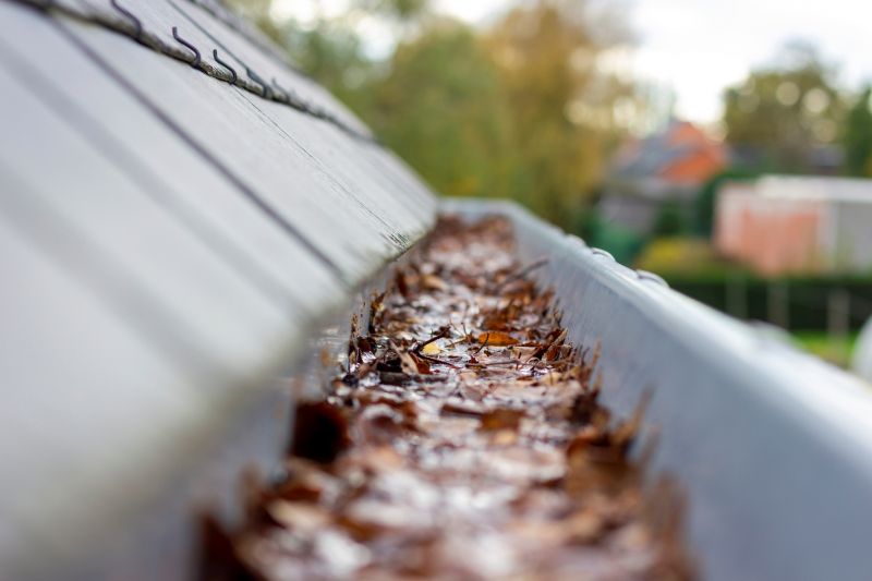 Clogged Gutter with Debris