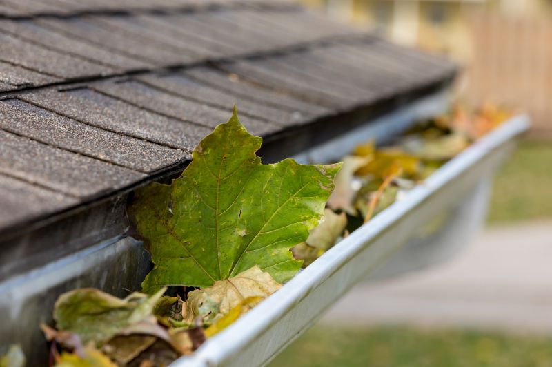 Fall Gutter Maintenance