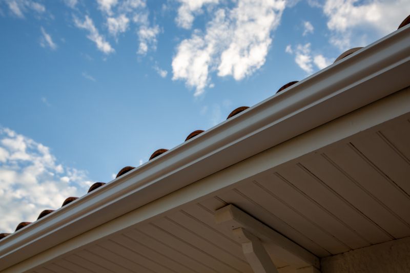 Roof Gutter Repair